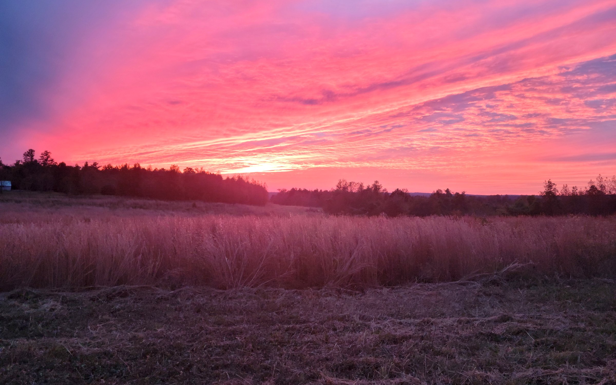 Sunset over the fields at Clark DuBignon Farm